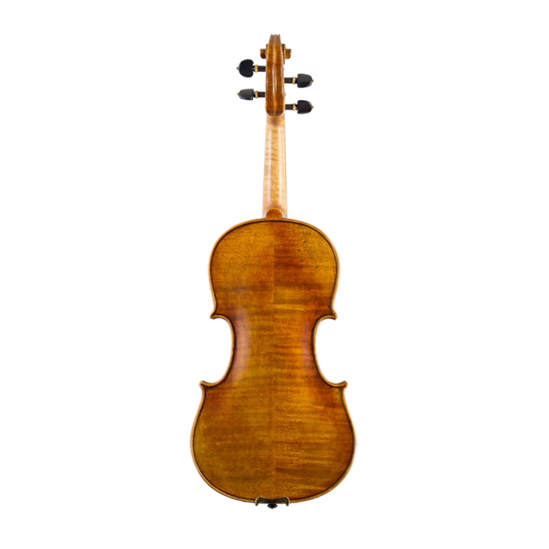 Lisle violin deals shop near me